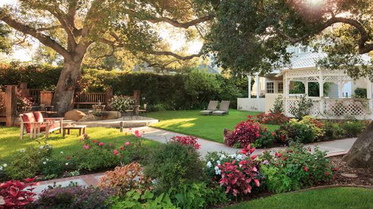 Verdant Garden Seating Surrounded by Lush Trees