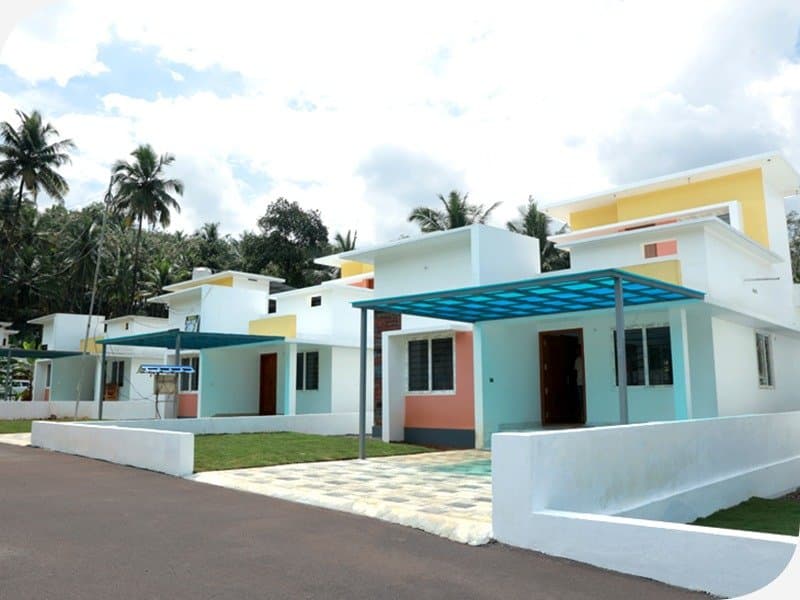 Anna Paradise gallery 2